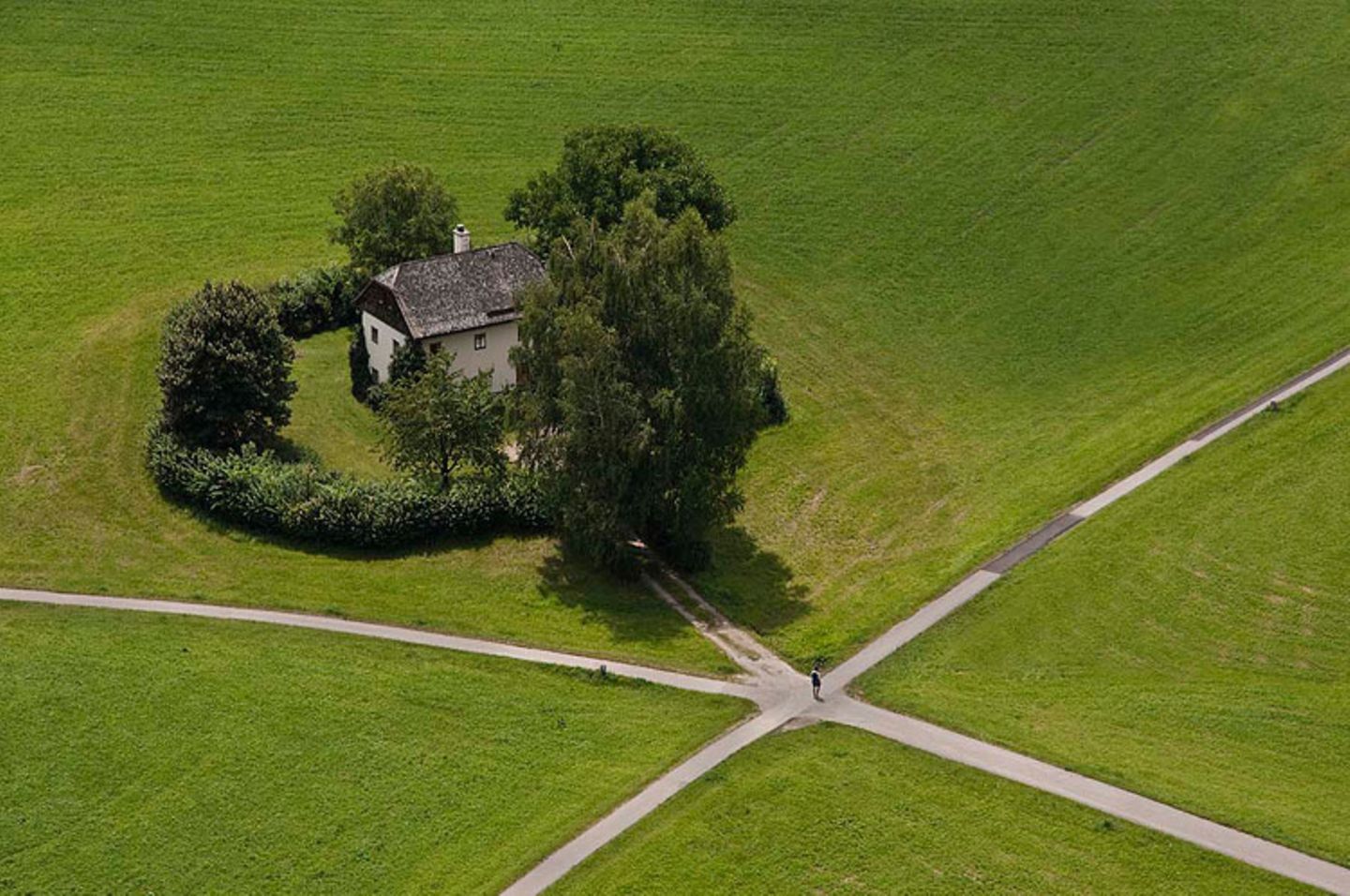 Kreuzung