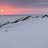 Amrum