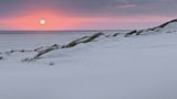 Amrum