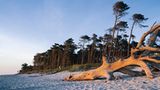 Fischland-Darß-Zingst