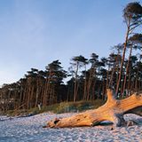 Fischland-Darß-Zingst