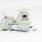 Aug in Aug mit den Eisbären - Bild 8