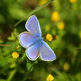 Leserfoto des Tages: Mai 2012 - Bild 11