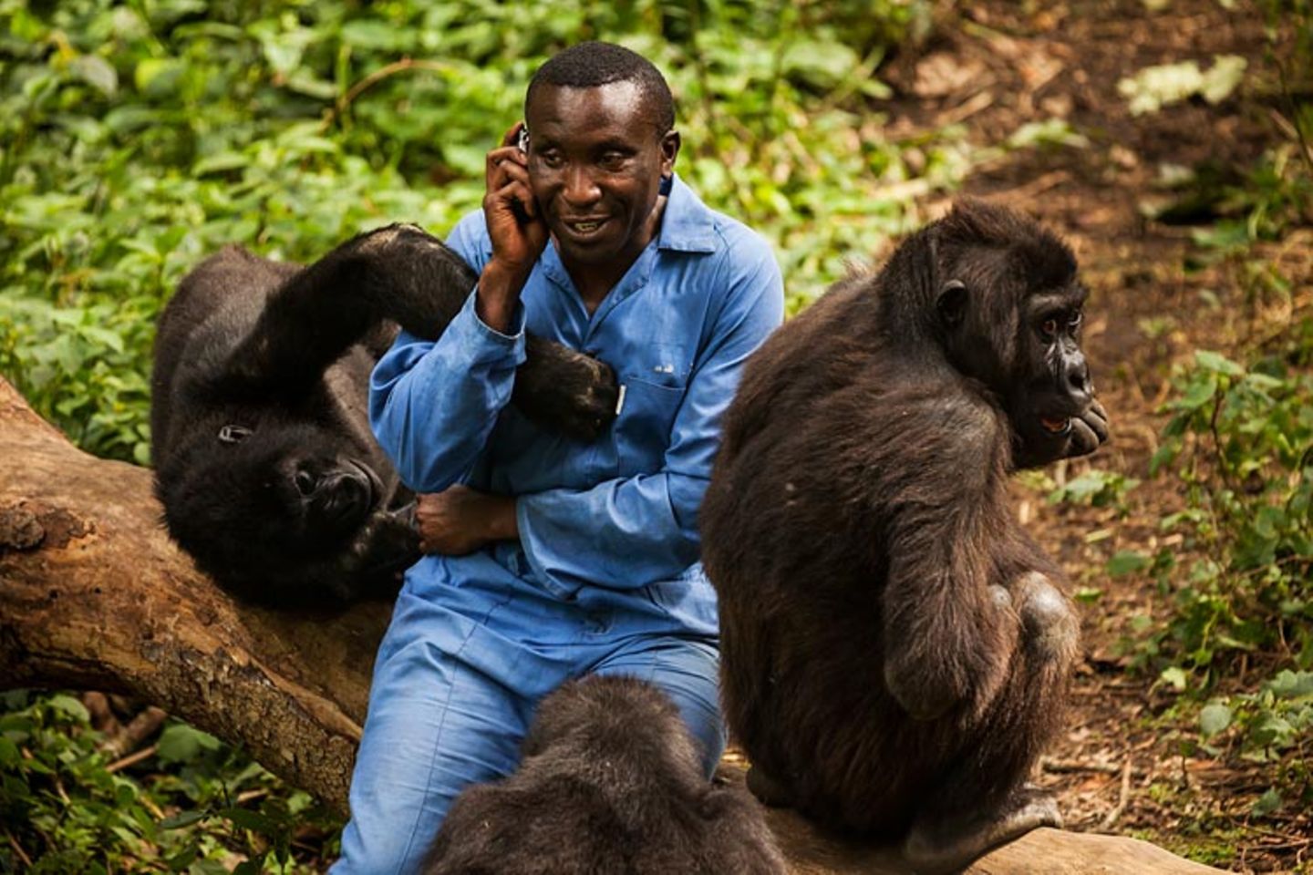 Virunga: Tod im Park