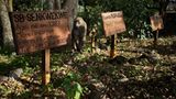 Virunga: Tod im Park