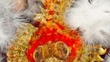 Unterwasserfotografie: Fotogalerie: Leben im Nordpazifik - Bild 2