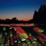 Unterwasserfotografie: Fotogalerie: Leben im Nordpazifik - Bild 9