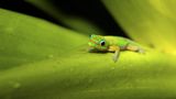 Fotofestival: Fotogalerie: Unsterbliche Natur