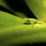 Fotofestival: Fotogalerie: Unsterbliche Natur