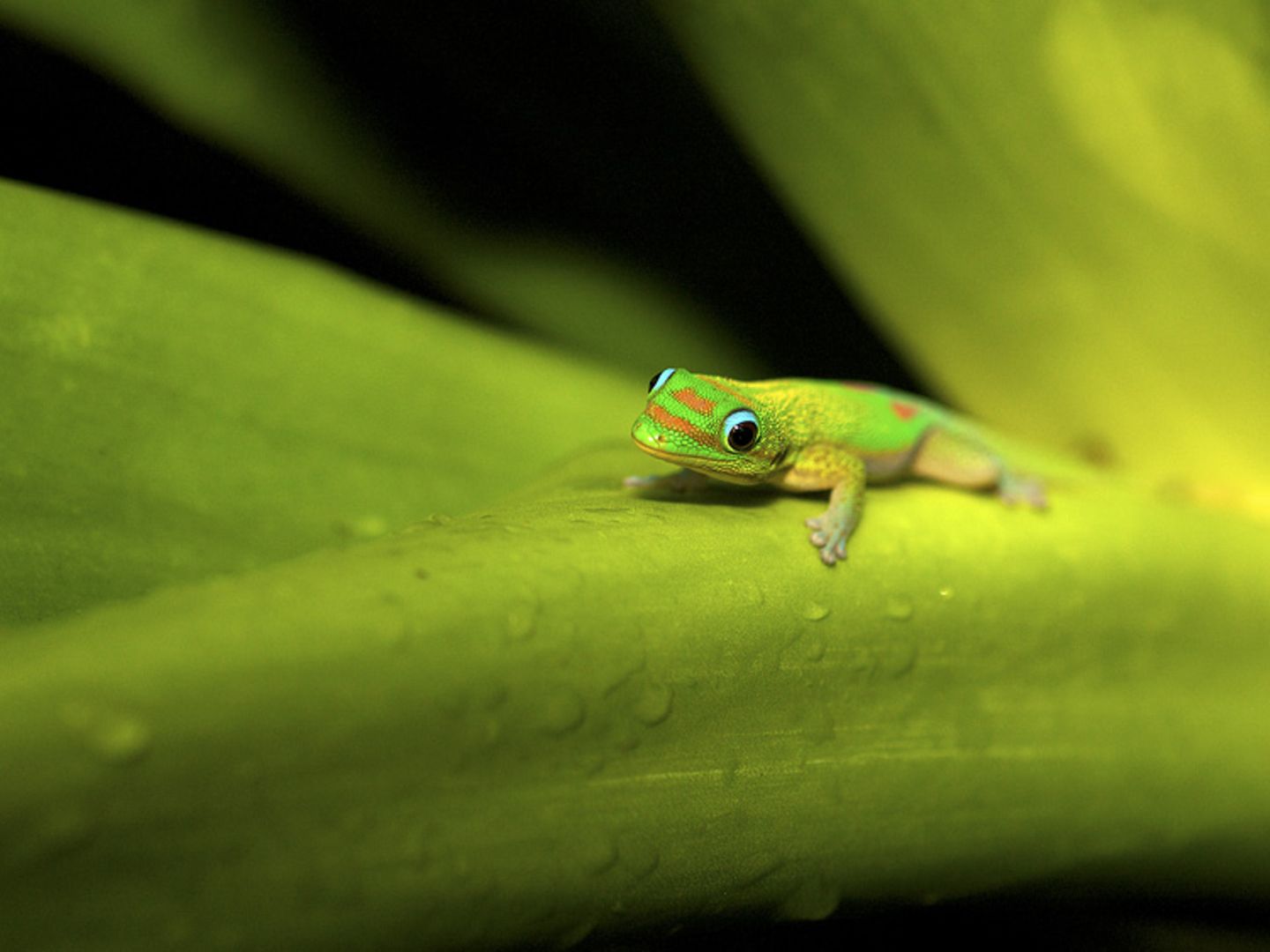 Fotofestival: Fotogalerie: Unsterbliche Natur