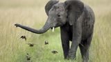 Fotofestival: Fotogalerie: Unsterbliche Natur - Bild 2