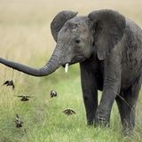 Fotofestival: Fotogalerie: Unsterbliche Natur - Bild 2