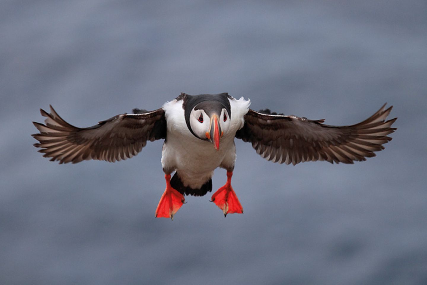 Fotofestival: Fotogalerie: Unsterbliche Natur - Bild 3