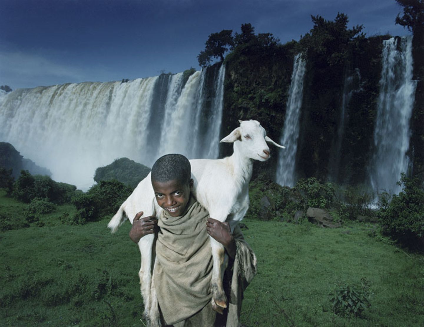 Fotofestival: Fotogalerie: Unsterbliche Natur - Bild 4