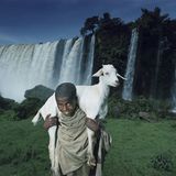 Fotofestival: Fotogalerie: Unsterbliche Natur - Bild 4