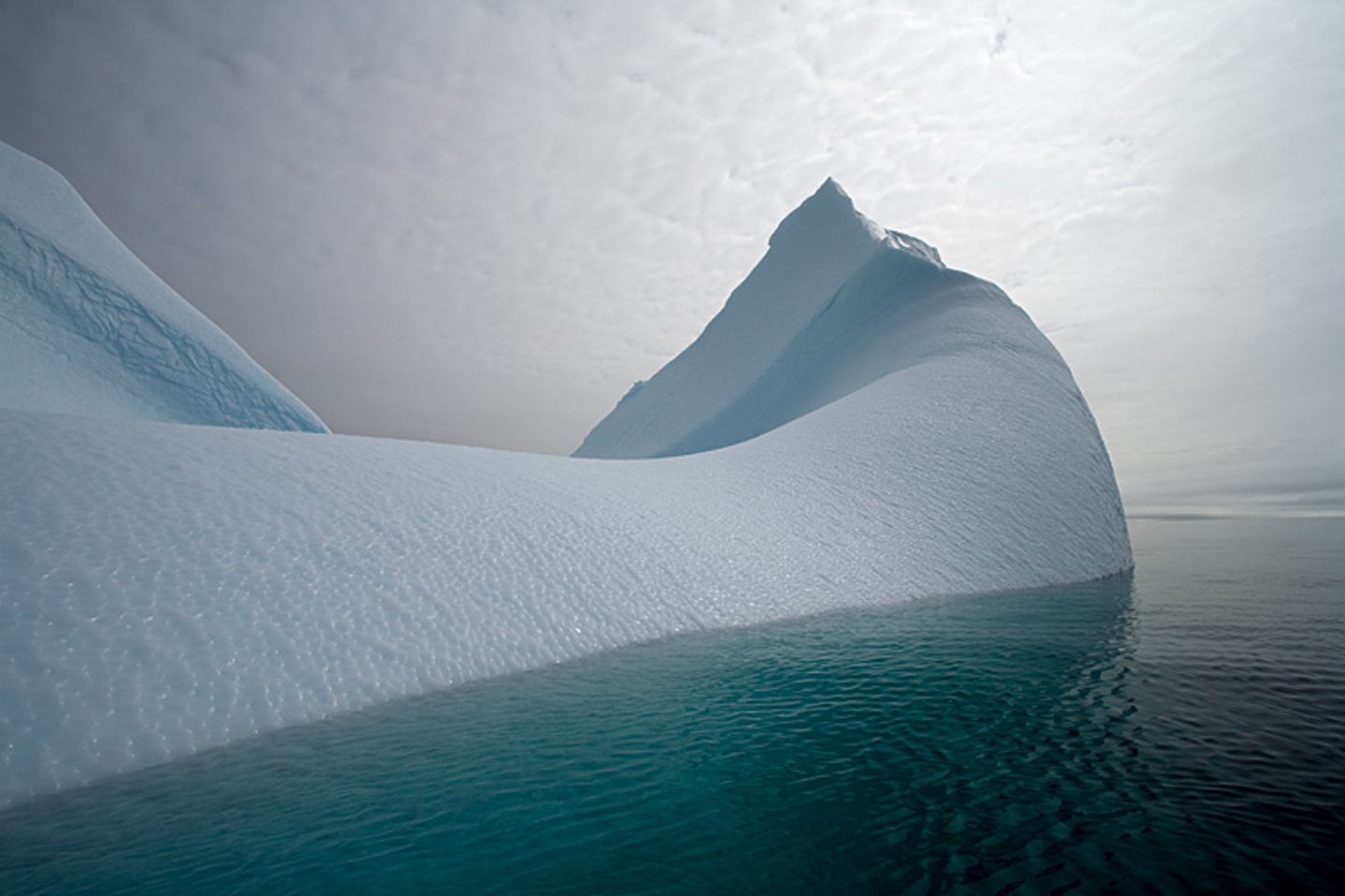 Fotofestival: Fotogalerie: Unsterbliche Natur - Bild 6