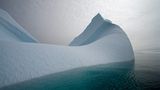 Fotofestival: Fotogalerie: Unsterbliche Natur - Bild 6