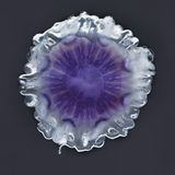 Fotofestival: Fotogalerie: Unsterbliche Natur - Bild 7