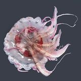 Fotofestival: Fotogalerie: Unsterbliche Natur - Bild 8