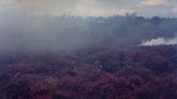 Fotofestival: Fotogalerie: Unsterbliche Natur - Bild 9