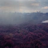 Fotofestival: Fotogalerie: Unsterbliche Natur - Bild 9