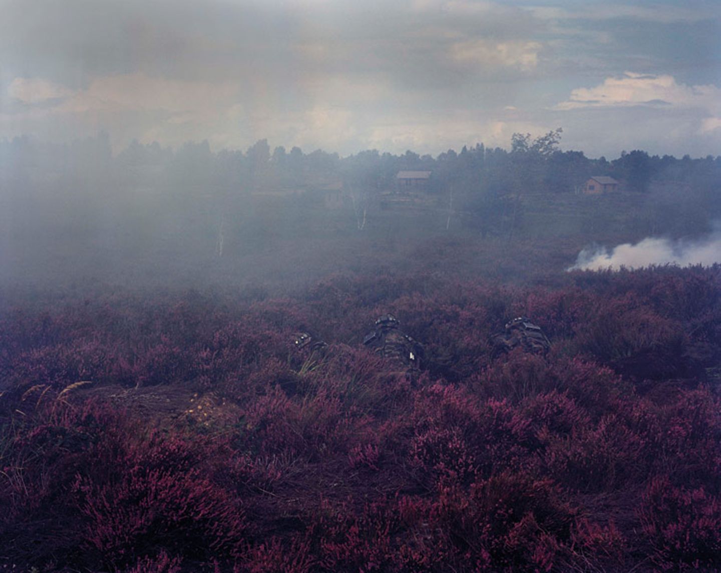 Fotofestival: Fotogalerie: Unsterbliche Natur - Bild 9