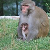 Fotogalerie: Tierkinder - Bild 2