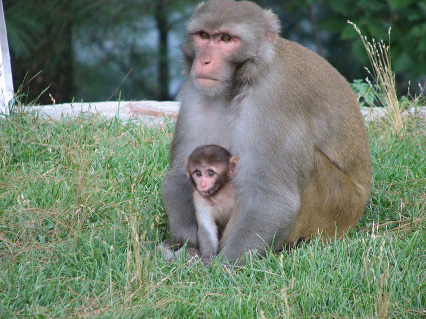Fotogalerie: Tierkinder - Bild 2 Fotogalerie: Tierkinder - Bild 2