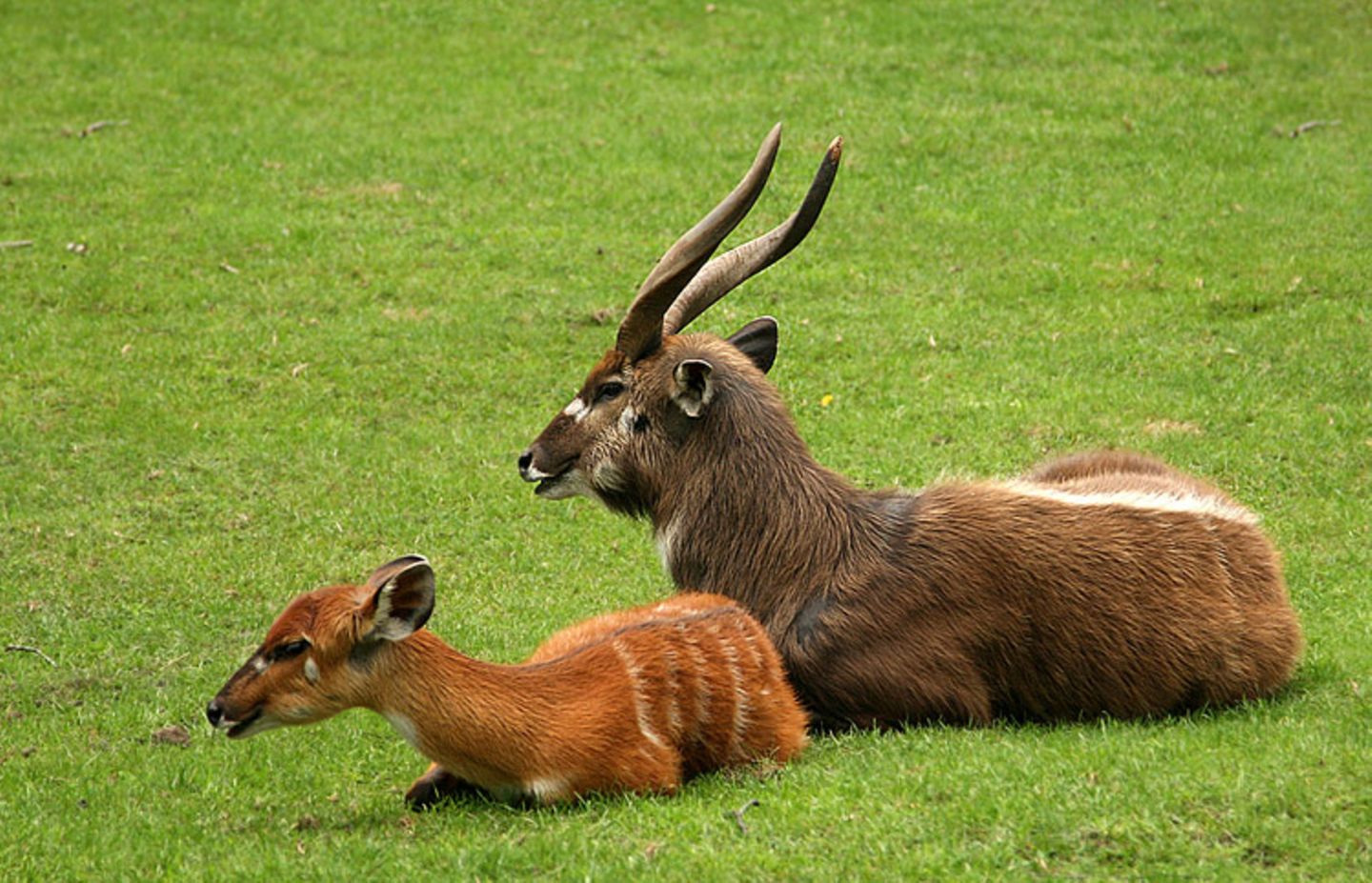 Fotogalerie: Tierkinder - Bild 3 Fotogalerie: Tierkinder - Bild 3