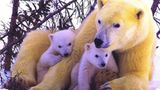 Fotogalerie: Tierkinder - Bild 5