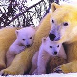 Fotogalerie: Tierkinder - Bild 5