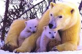 Fotogalerie: Tierkinder - Bild 5