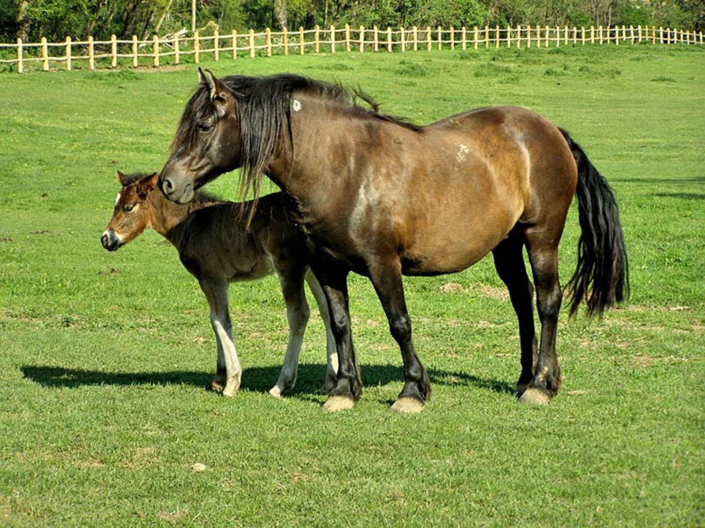 Fotogalerie: Tierkinder - Bild 9 Fotogalerie: Tierkinder - Bild 9