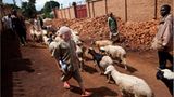 Fotostrecke: Unicef Burundi: Médick und seine Beschützer - Bild 8
