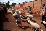 Fotostrecke: Unicef Burundi: Médick und seine Beschützer - Bild 8