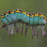 Fotogalerie: Naturschönheiten