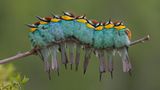 Fotogalerie: Naturschönheiten