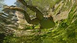 Fotogalerie: Naturschönheiten - Bild 2