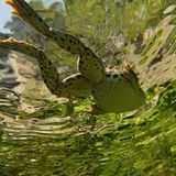 Fotogalerie: Naturschönheiten - Bild 2