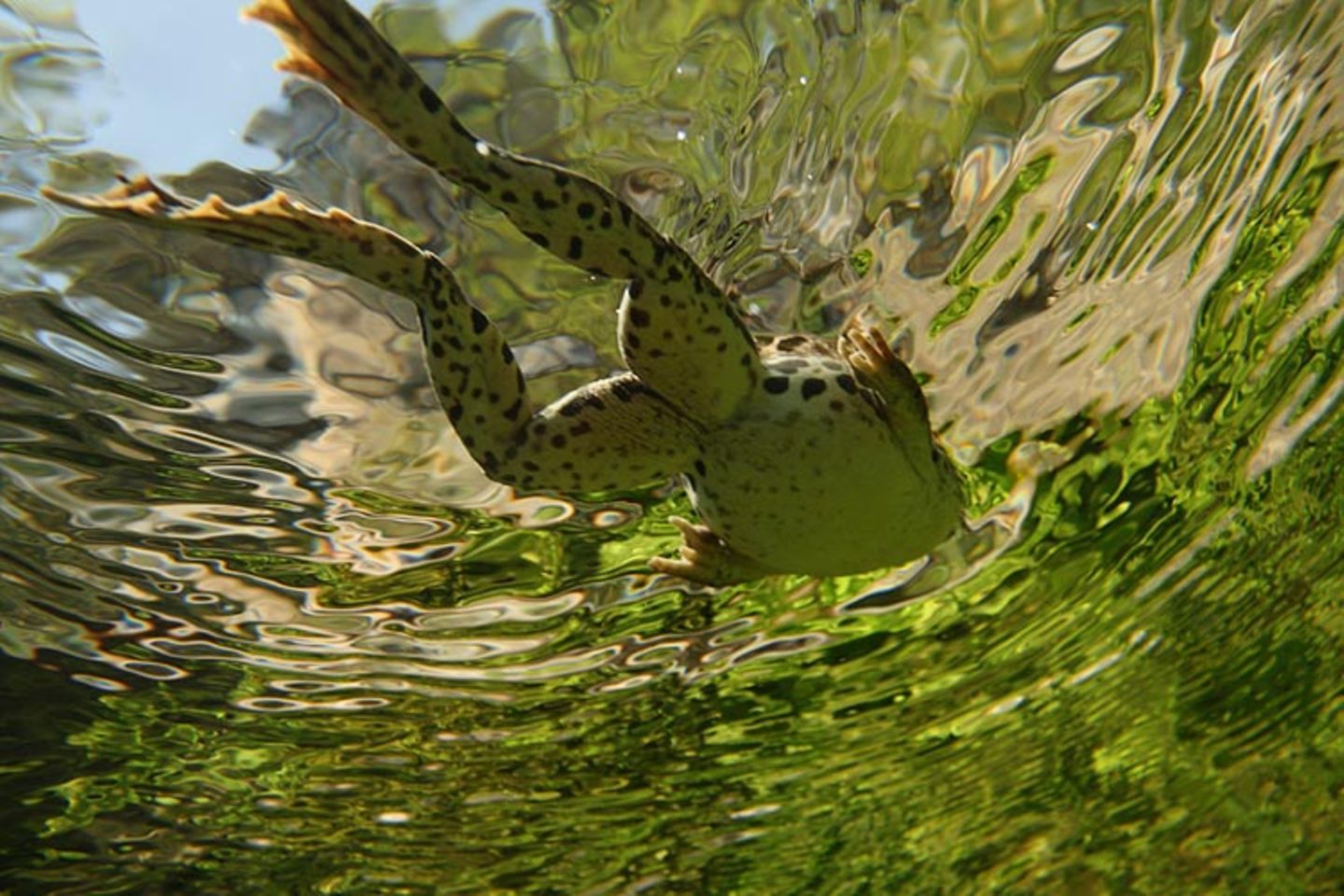 Fotogalerie: Naturschönheiten - Bild 2