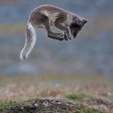 Fotogalerie: Naturschönheiten - Bild 3