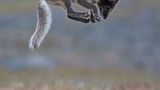 Fotogalerie: Naturschönheiten - Bild 3