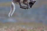 Fotogalerie: Naturschönheiten - Bild 3
