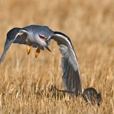 Fotogalerie: Naturschönheiten - Bild 4