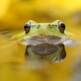 Fotogalerie: Naturschönheiten - Bild 5