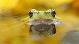 Fotogalerie: Naturschönheiten - Bild 5