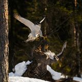 Fotogalerie: Naturschönheiten - Bild 6