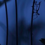 Fotogalerie: Naturschönheiten - Bild 7