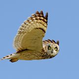 Fotogalerie: Naturschönheiten - Bild 8