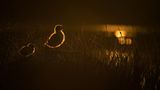 Fotogalerie: Naturschönheiten - Bild 9